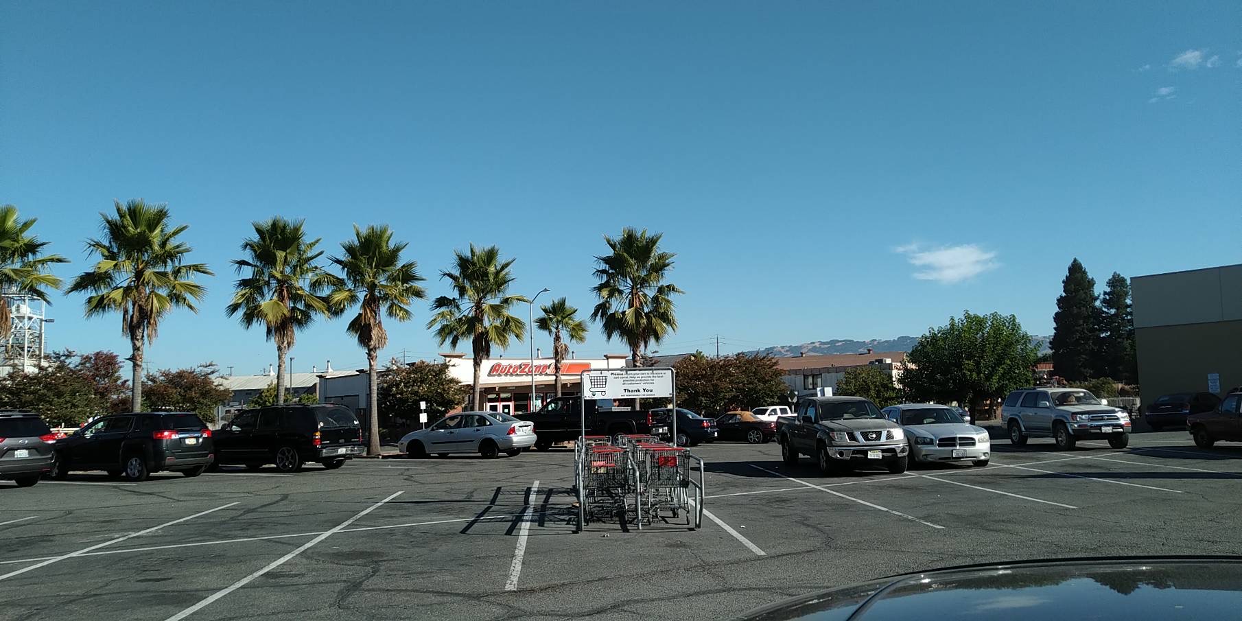 デザインも自由自在にカスタマイズ可能！